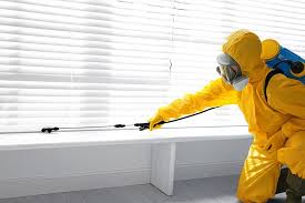 Real Estate Pest Inspections in Seffner, FL